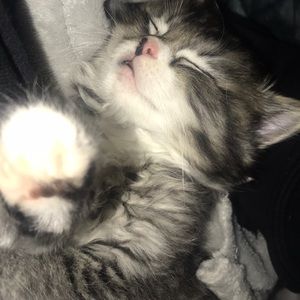 Meet your Posher, Taryn